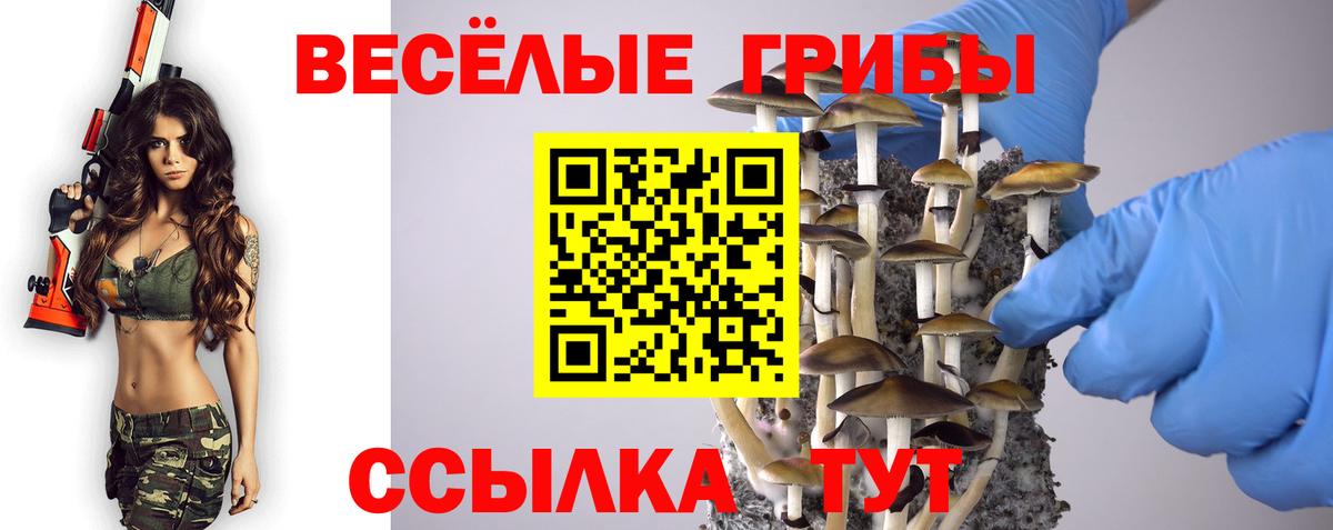 Псилоцибиновые грибы мухоморы  Вход с VPN  Кисловодск 